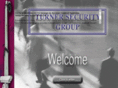 turnersecuritygroup.com