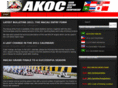 asiankarting.com