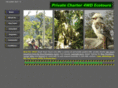 bushtracktours.com