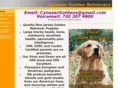 cynazargoldens.com