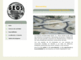 excavacionesgeos.es