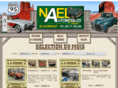 naelautoclassic.com