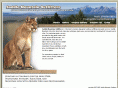 saddlemountainoutfitters.com