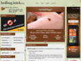 bedbugintel.com