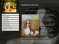 dominiqueoboyski.com