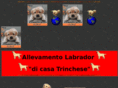 trincheselabrador.it