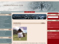 animastrings.com