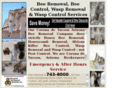 beeremovalcoronadetucsonaz.com