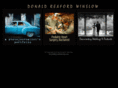donaldwinslow.com