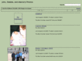 3fitzgeralds.com