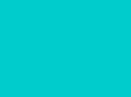 aadive.com
