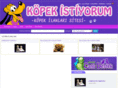 kopekistiyorum.com