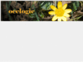 ocelogic.net