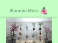 bloominminis.com