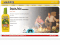 swampgator.com