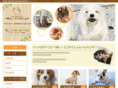 bear-seed.com