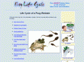 frog-life-cycle.com