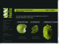 helix-recruitment.biz