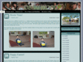 obakiwood.com