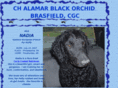 brasfieldcurlyretrievers.com