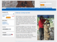 chainsawcarvedbear.com
