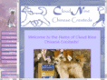 cloud9chinesecresteds.com
