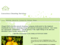 consciouscleaninginc.com