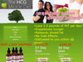 hcgwarrior.com