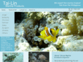 tailinmp.com