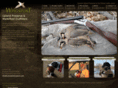 wingsport.net