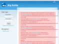 bigbaldy.com