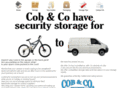 cobncostorage.com