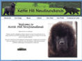 kettlehillnewfs.com