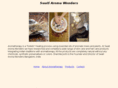 swatiaroma.com