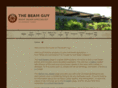 beamguy.com