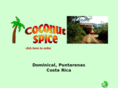 coconutspice.com