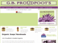 gbproudfoots.com