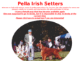 pellairishsetters.com