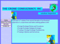 croneconsultancy.com