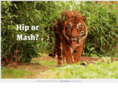 hipmash.com