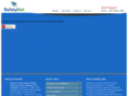 safetynet-inc.com