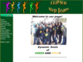 graysonstepteam.com