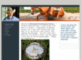 mcfarlandperformancehorses.com