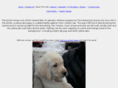 seeingeyepuppyclubs.org
