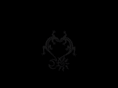 nightanddayrecords.com