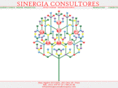 sinergiaconsultoresperu.com