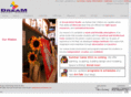 dreamartiststudio.com
