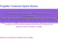 forgottentreasuresequinerescue.com