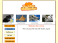 forthecatlover.com