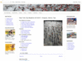 racenewyork.net
